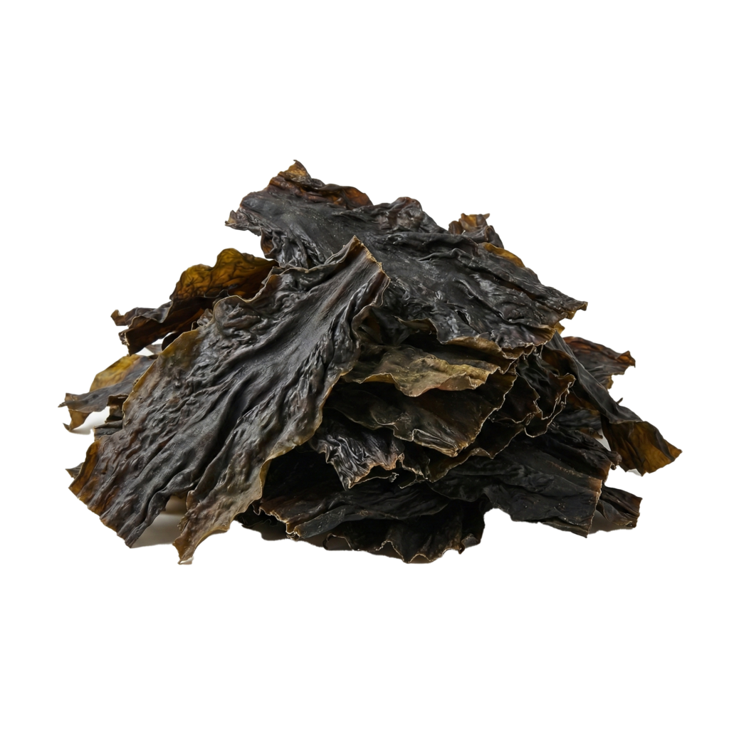 깊은 수면을 유도하는 제주 바다의 보물, 감태와 감태 추출물